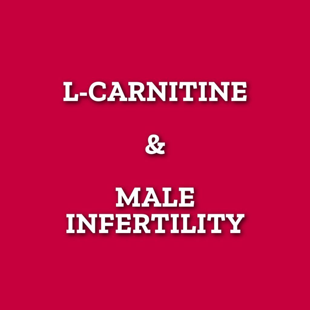 L-Carnitine Supplements and Male Infertility
