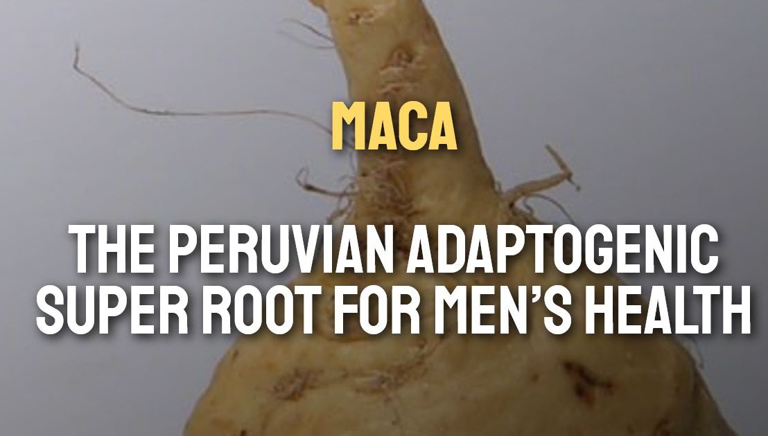 Maca – The Peruvian Adaptogenic Super Root For Men’s Health