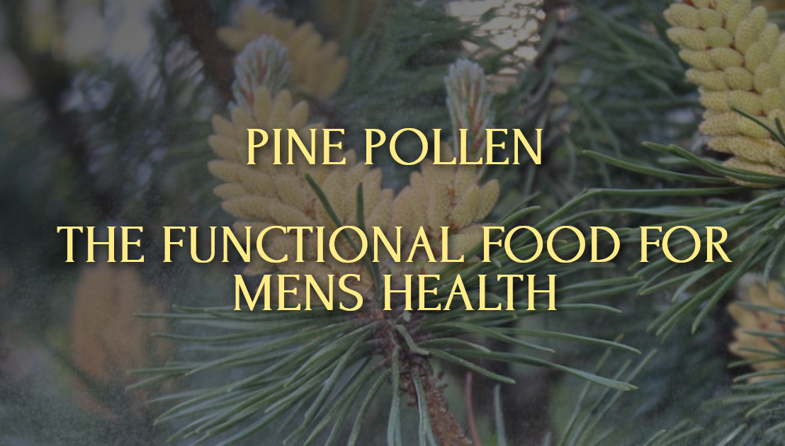 Pine Pollen – The Functional Food For Men’s Health