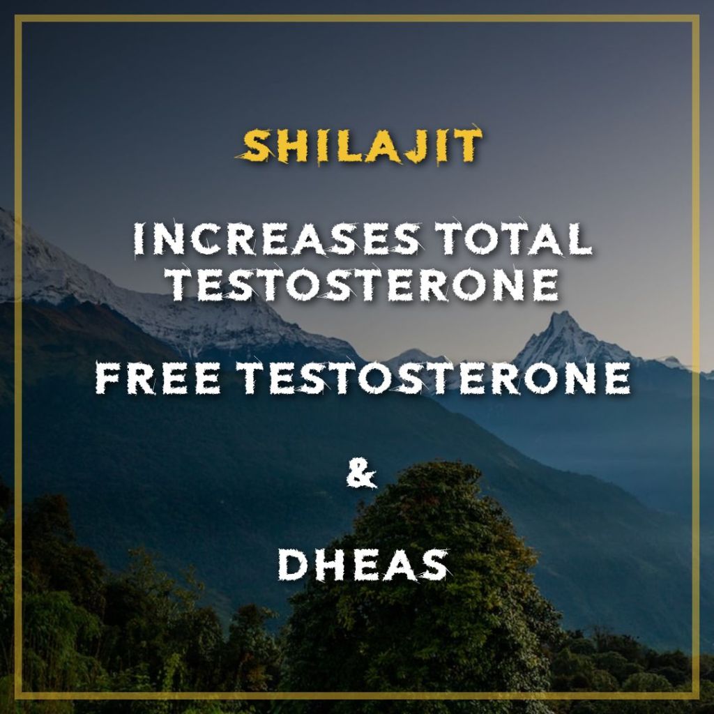 Shilajit increased total testosterone, free testosterone and DHEAS